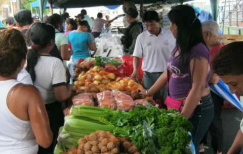Tras acuerdo con productores,   ofertarán papas más barata en ferias del IMA