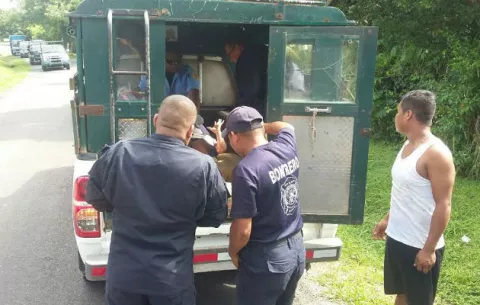          Accidente en san Miguel centro deja  cinco heridos