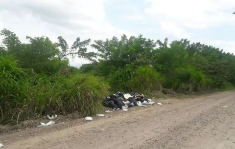 Anuncian multas hasta de mil dólares por mantener lotes sucios