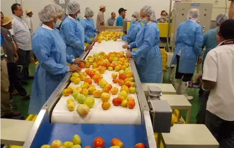 Se preparan para construir el Primer Centro de Excelencia