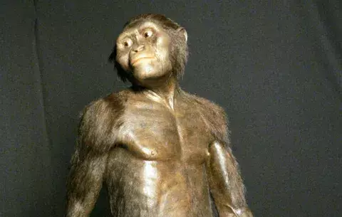 Lucy murió tras caerse de un árbol