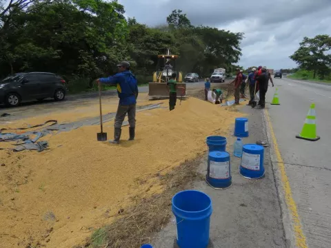 Gran cantidad de arroz tirado en la Interamericana en entrada de Antón