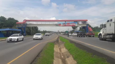 Camión atropella a hombre y se da a la fuga