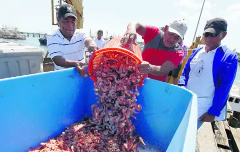 Buscan frenar  pesca ilegal