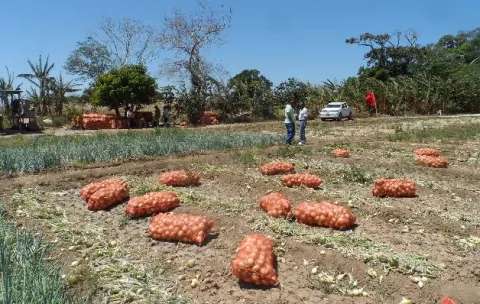 Productores insatisfechos en negociación con el Gobierno