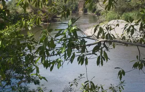 Ubican con vida a dos parejas arrastradas por cabeza de agua en Alanje