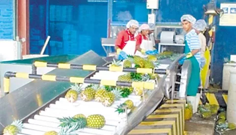 Panama held hostage by commercial treaties