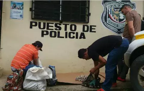 Condenados por venta ilegal de huevos de tortuga