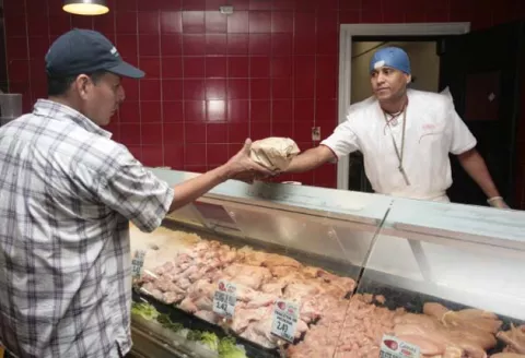 Avicultores dicen estar cansados de denunciar   importación de gallina