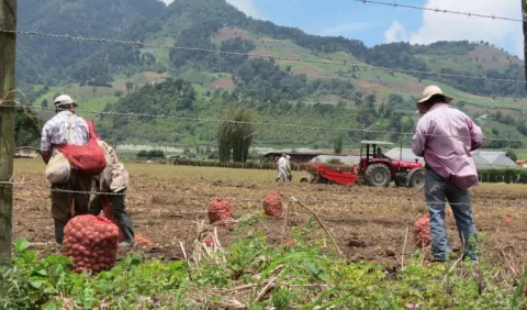 Inacción del Gobierno contrae producción del  agro y de la industria