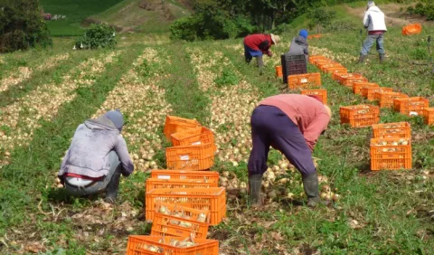 El IMA acusa a productores 