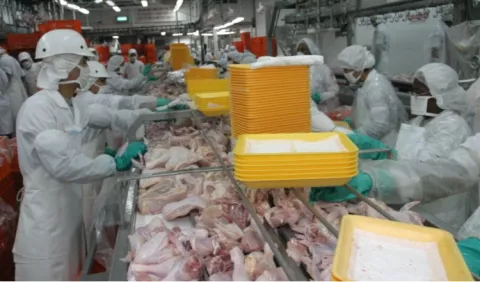 Sector manufacturero aún espera su política industrial
