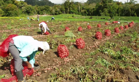 Desinterés gubernamental afecta a los productores