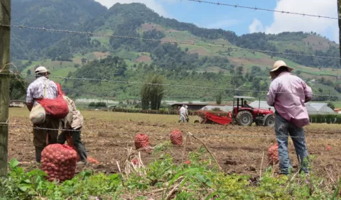 Productores: Gobierno nos amenaza y persigue    