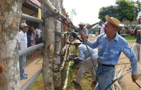Inicia Festival Nacional de La Mejorana en Guararé