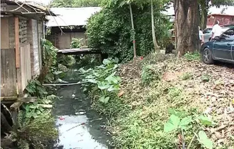 Aumentan casos de Dengue en la provincia de Bocas del Toro