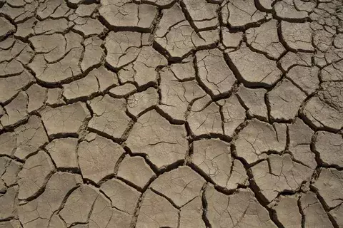 El año 2016 está camino de convertirse en el más caliente de la historia