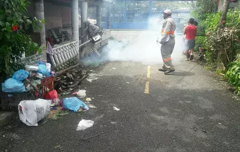 Confirman caso de muerte por dengue en Bocas del Toro.