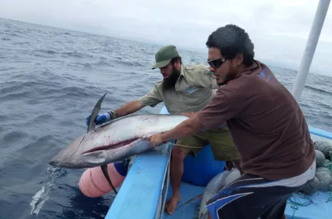 Panamá suscribe acuerdo mundial contra la pesca ilegal