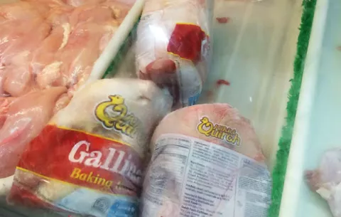 Avicultores afectados por importación de gallina dura congelada
