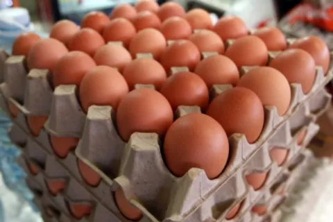 Preocupa comercialización de huevos