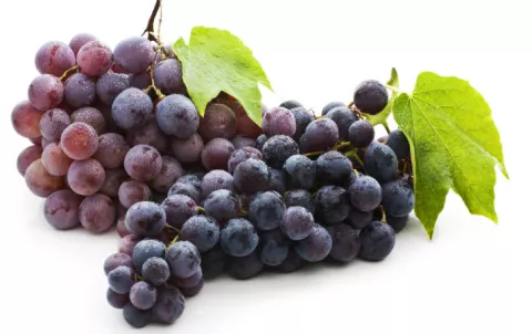 Cómo crear melanina en el cuerpo