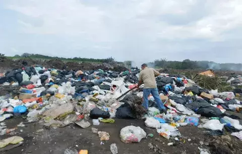 Envenenan a perros en La Tiza de Las Tablas
