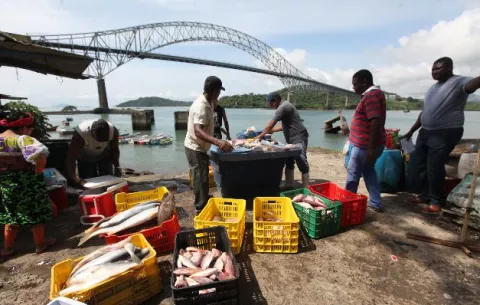 Realizarán diálogo nacional por la pesca para incentivar al sector 