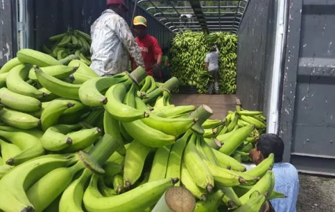 Alimentos que incumplen normativa se decomisan con frecuencia 