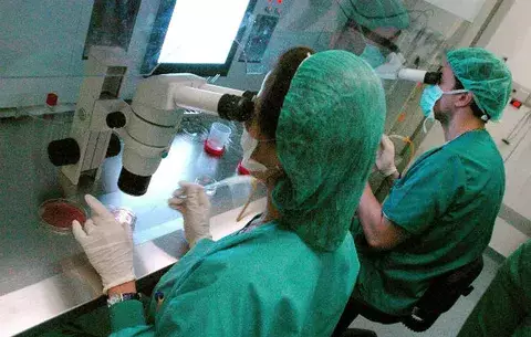 Testosterona favorece comportamientos agresivos y generosos