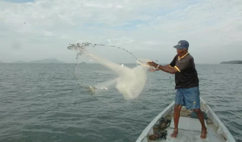 Industria  apuesta a reactivar la  pesca 