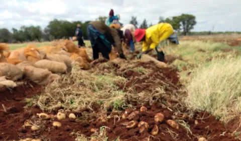 Poco optimismo ante diálogo por el agro