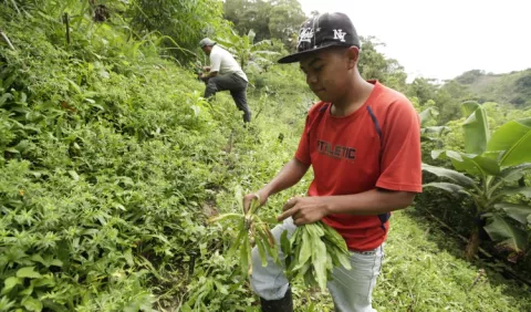 Ejecutivo,  sin    interés en el agro 