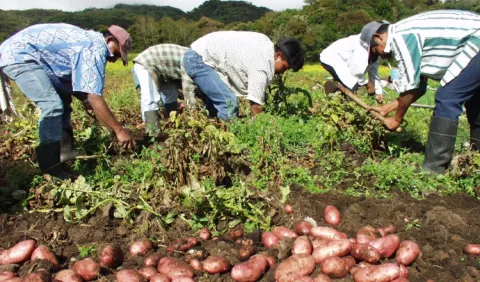 Productores buscan medidas  para comercializar sus rubros 