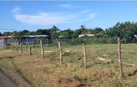 UABR subastará cuatro fincas ubicadas en Los Santos y Colón