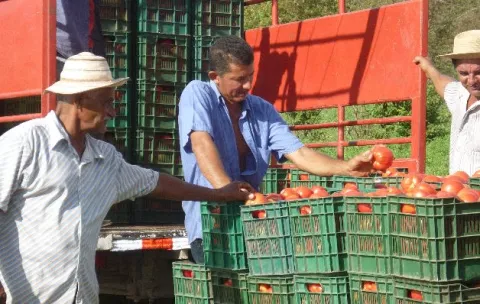 Diálogo nacional por el agro arranca en provincias centrales de Panamá