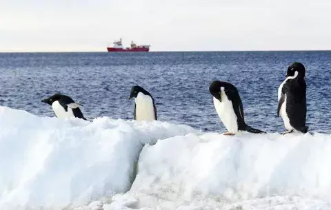 El océano Antártico albergará la mayor reserva marina del mundo