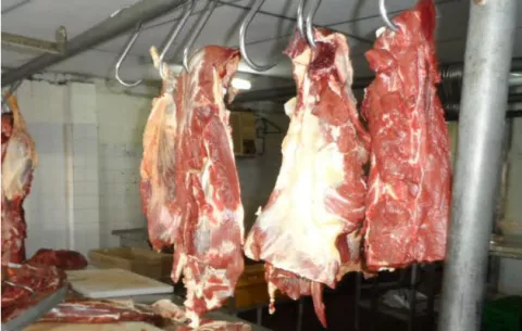 Trasladarán matadero municipal de Boquete para Caldera
