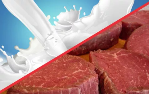 Iniciativa podría reducir el costo de la carne y la leche