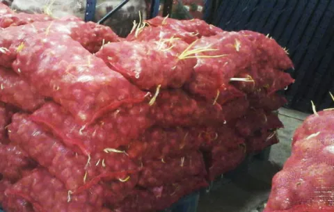 Destruirán cebollas germinadas que importaron desde Perú