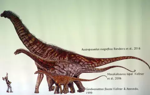 Descubren el mayor dinosaurio de Brasil