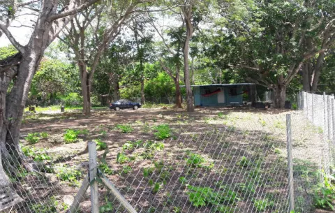 Empresario local invade terreno estatal en Farallón que era del ex general Noriega 