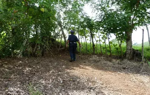En La Mata del Ciprián, en Herrera, matan a mujer de 39 años