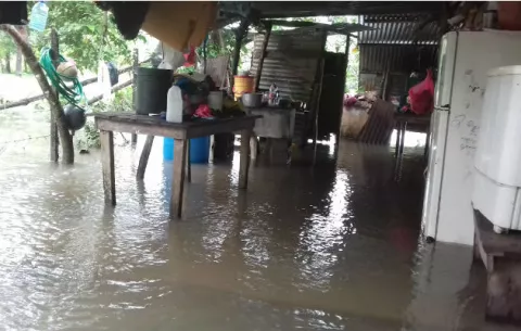 Cultivos de arroz inundados en Mariato