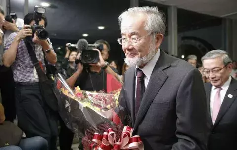 El japonés Yoshinori Ohsumi gana el Premio Nobel de Medicina 