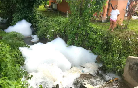 Aparecen peces muertos en la quebrada de Nuevo Arraiján