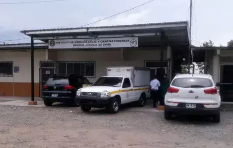 Perro encuentra feto y lo cargaba en el hocico en una finca de Boquete