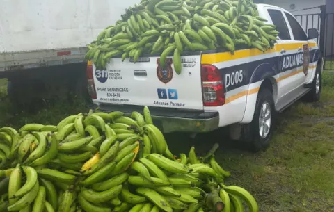 Aupsa aplicará medidas para evitar contrabando de plátano 