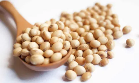La soya ayuda a reducir presión arterial