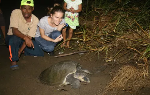 Desove de tortugas marinas, espectáculo natural en Jaqué